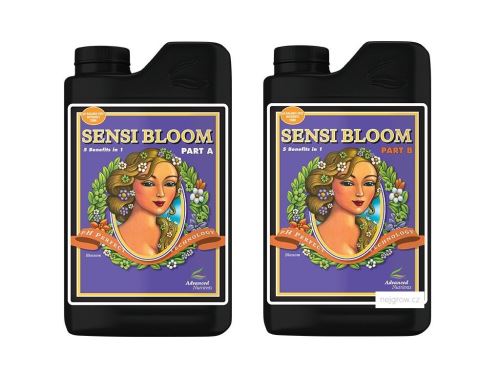 sensi bloom 