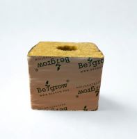 Begrow® pěstební kostka 75 x 75 x 65 mm, s malou dírou, 1 ks