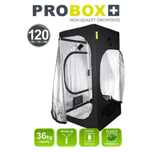 Probox 120 stan
