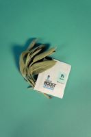 Integra Boost 62% 4g, PINENE, 1 pc