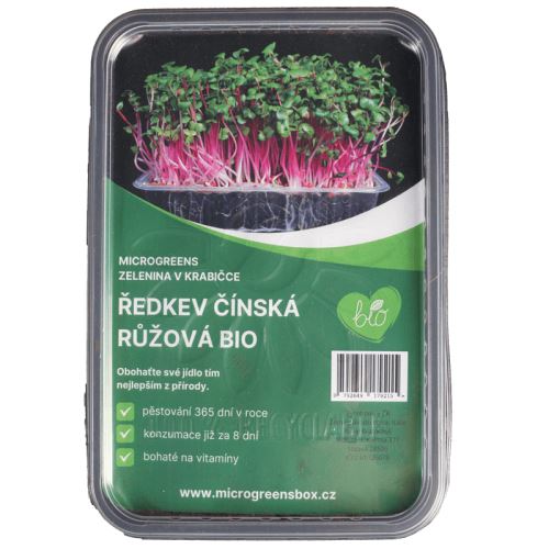 Microgreens sada Ředkev čínská růžová BIO (35705)